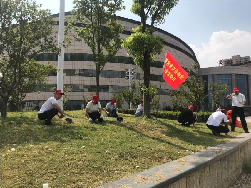 百佳党支部开展志愿者活动